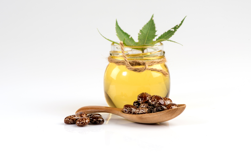 Castor, seeds ,green leaves and oil on white background.