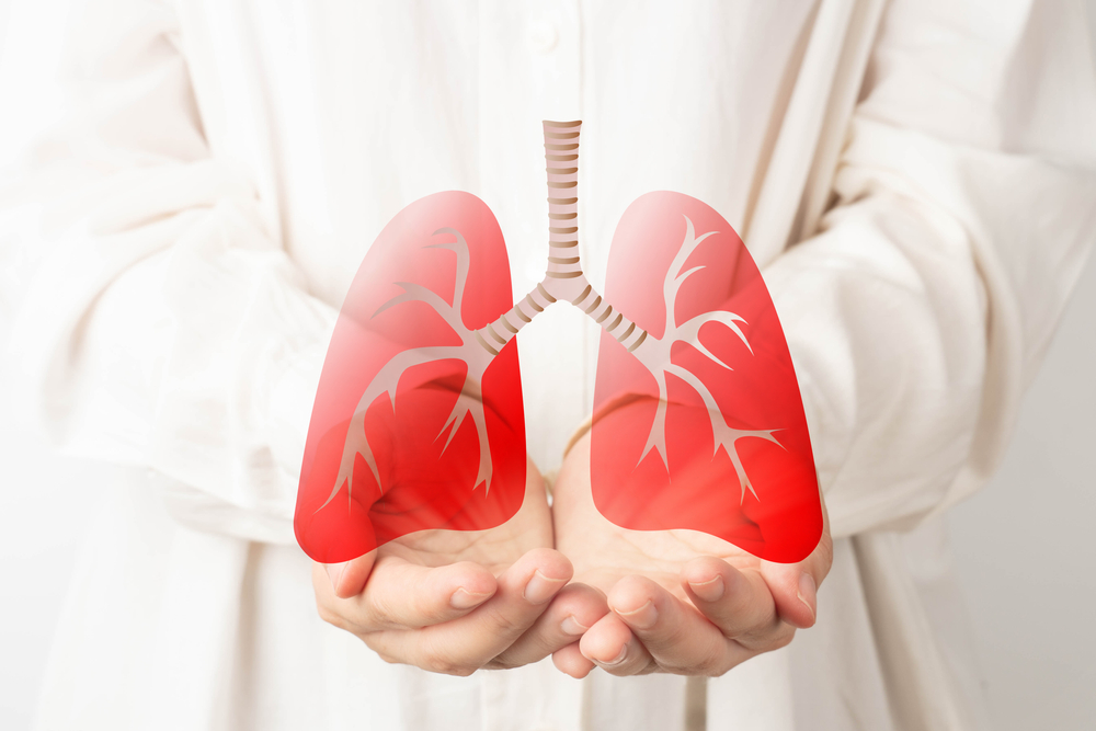 Human hands holding lung organ symbol. Awareness of lung cancer, pneumonia, asthma, COPD, pulmonary hypertension, world no tobacco day and eco air pollution. Respiratory and chest concept.
