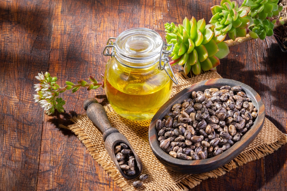 Castor grains and oil on the table, close-up image