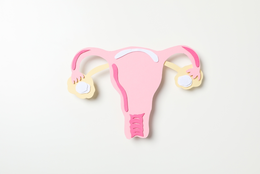 Women's health and women's healthcare concept with uterus
