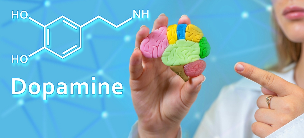 Dopamine logo. Doctor woman. Dopamine hormone. Neurotransmitters in human brain. Production of hormone dopamine. Doctor demonstrates site of hormone synthesis. Human health. Anatomy, healthcare
