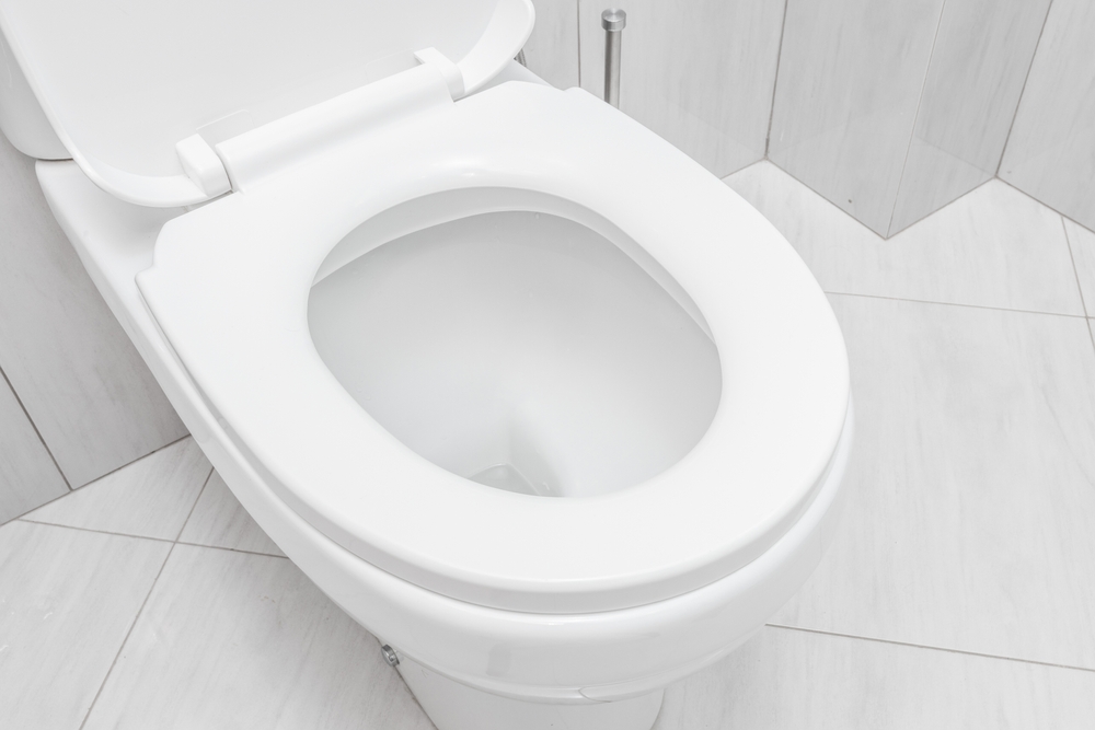 toilet bowl at domestic bathroom.