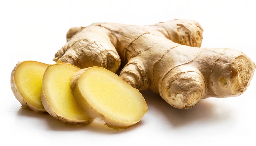 Fresh ginger rhizome root with sliced piece isolated on white background. Herb medical concept. Ginger contains antioxidants. These molecules help manage free radicals and help with blood pressure