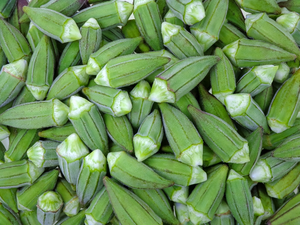 Green small okra background, fresh Egyptian Short okra
