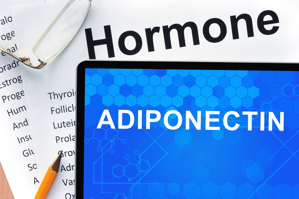 Papers with hormones list and tablet with words adiponectin .
