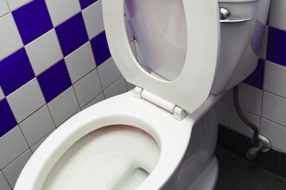 Toilet with Blue Tile