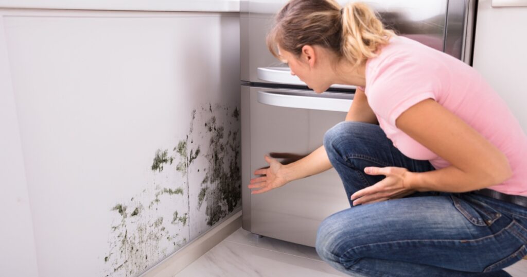 Close-up Of A Shocked Woman Looking At Mold On Wall