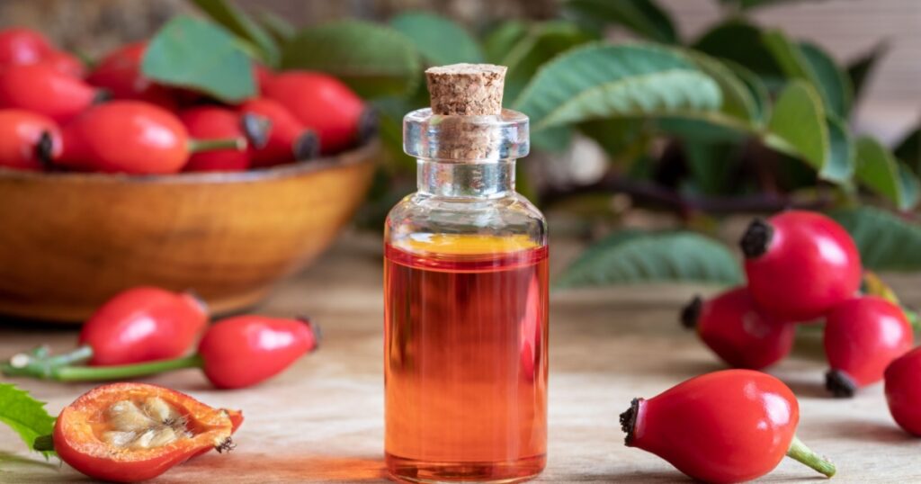 A bottle of rosehip seed oil with fresh plant