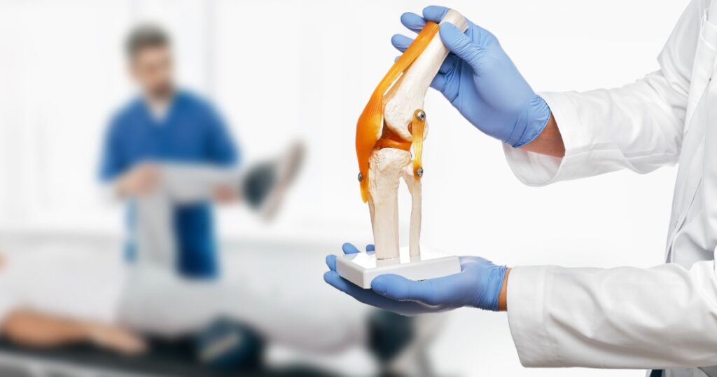 Physiotherapist holds an anatomical human knee-joint model in his hands, over background physiotherapy session for an elderly patient. Concept physio treatment and kinesiotherapy