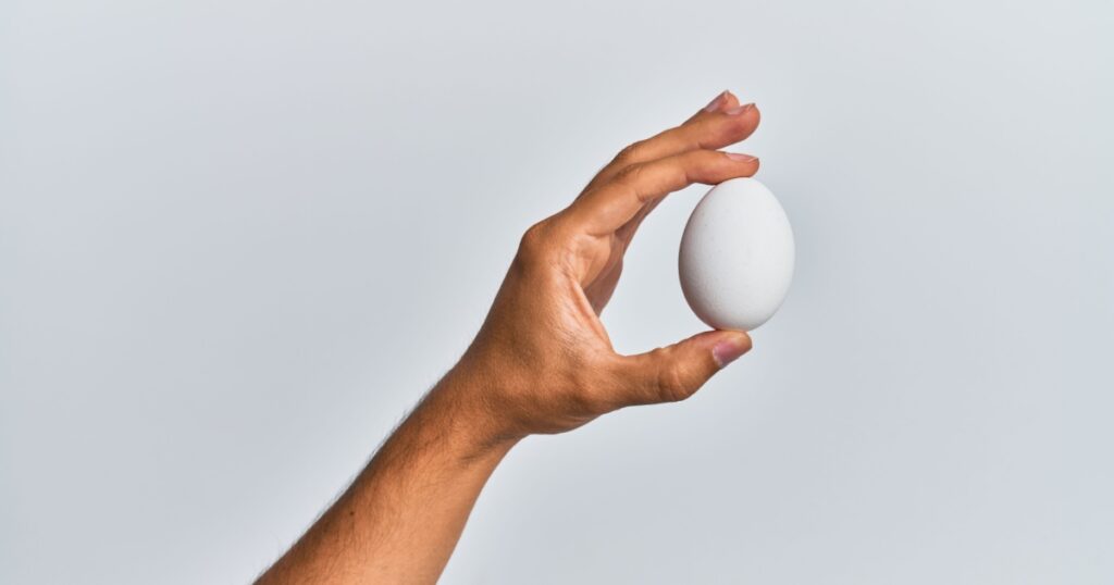 Young hispanic hand holding raw egg over isolated white background.
