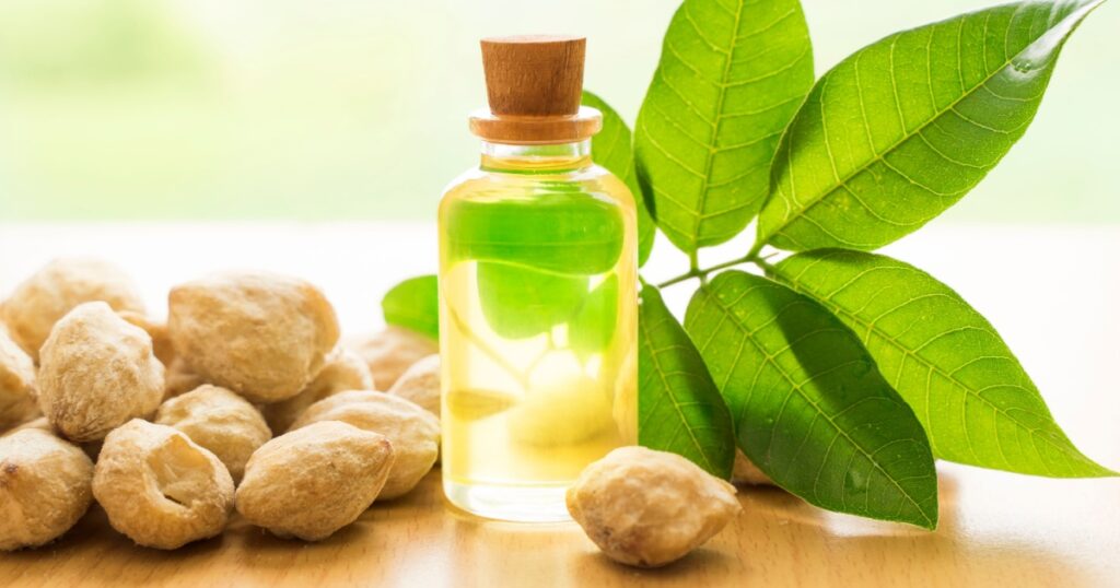 candlenut essential oil on wooden natural background