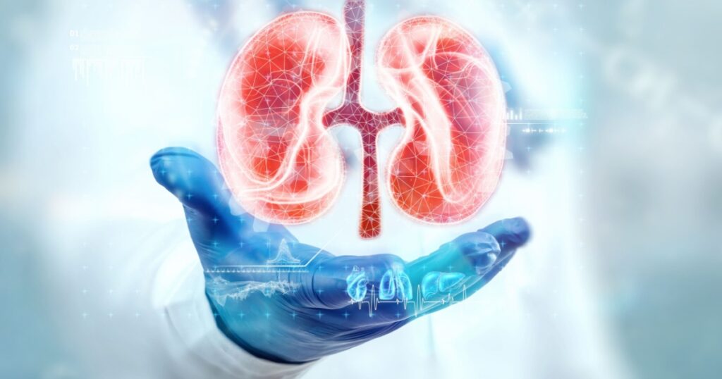 The doctor looks at the kidney hologram, checks the test result on the virtual interface and analyzes the data. Kidney disease, stones, innovative technologies, medicine of the future