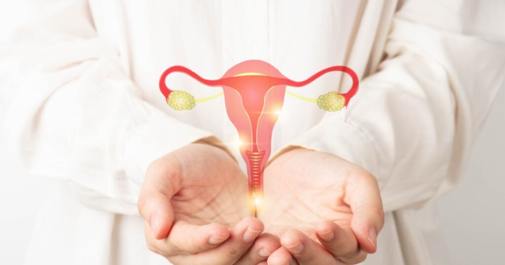 Healthy uterus and ovaries anatomy on doctor hands. Awareness of women health care such as endometriosis disease, PCOS, STDs, ovarian or cervical cancer screening. Gynecology and reproductive system.