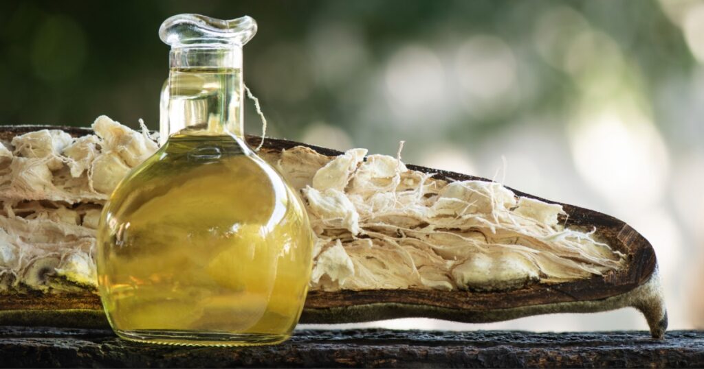 Baobab fruit and oil on nature background.