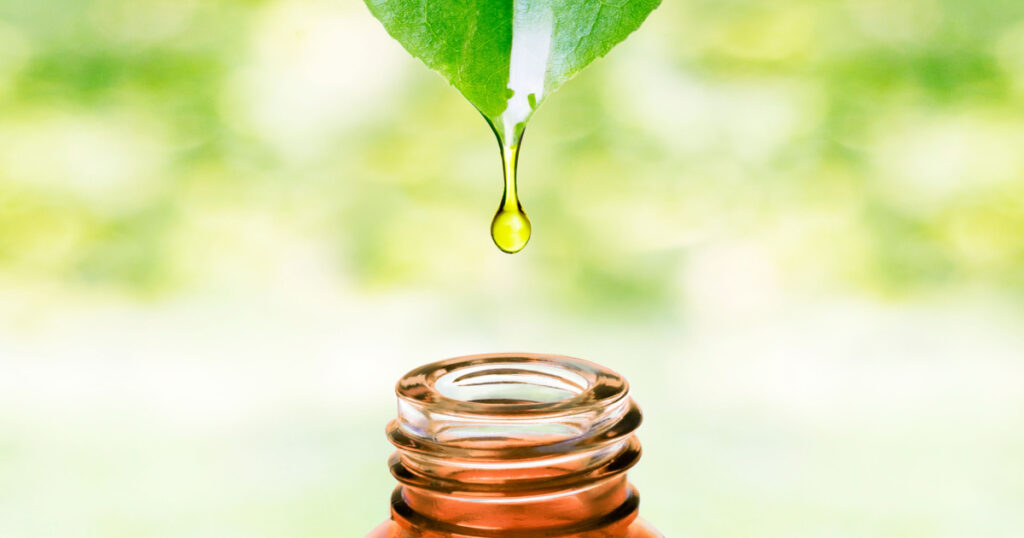 Herbal essence. Alternative healthy medicine. Skin care. Essential oil or water dropping from fresh leaf to the bottle.