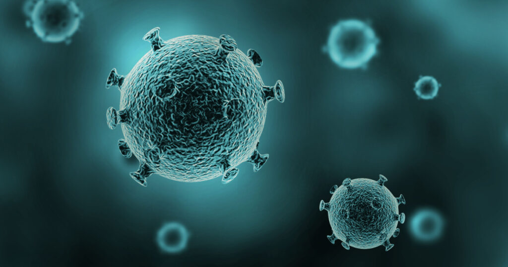 Bacteria, virus, cell