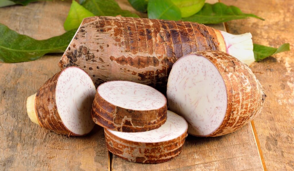 Taro root on wooden background
