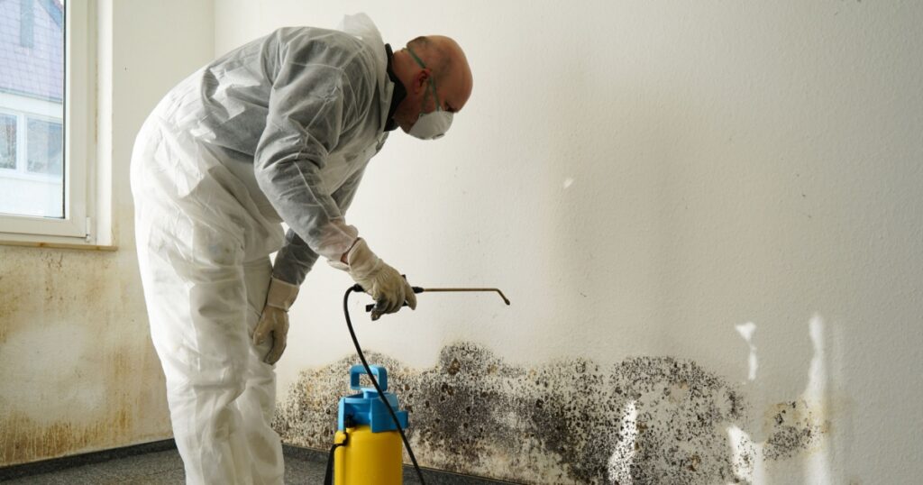 specialist in combating mold in an apartment