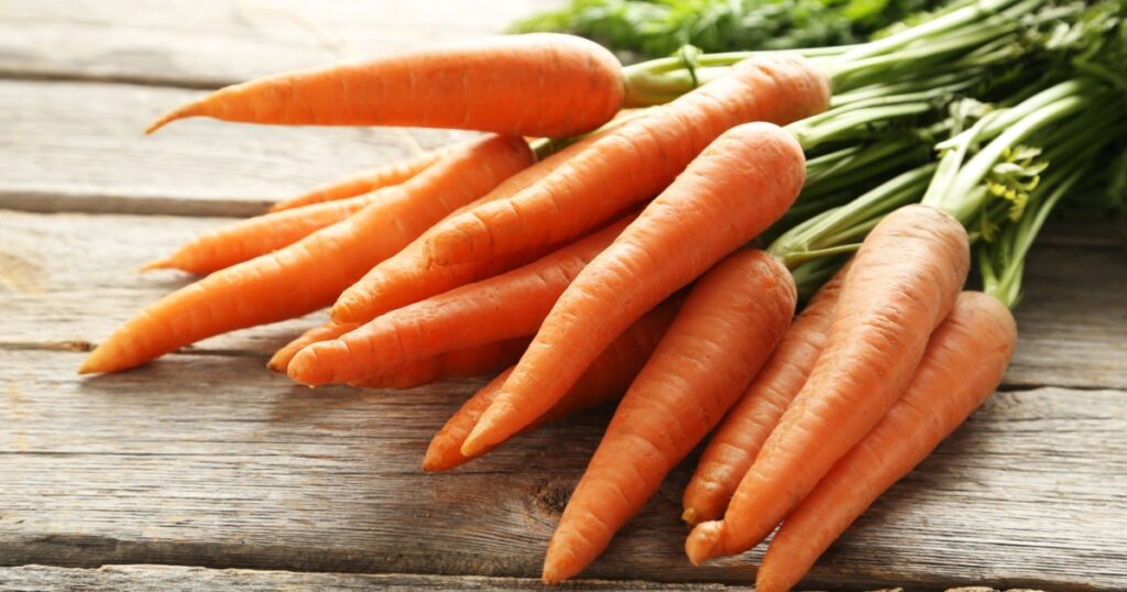 Fresh and sweet carrot on a grey wooden table