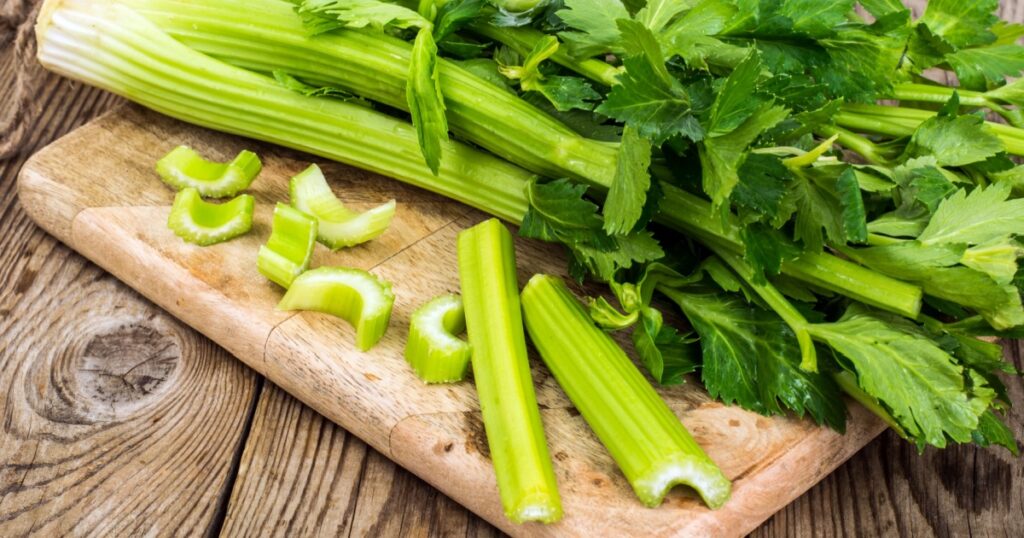 Bunch of fresh celery stalk with leaves. Studio Photo