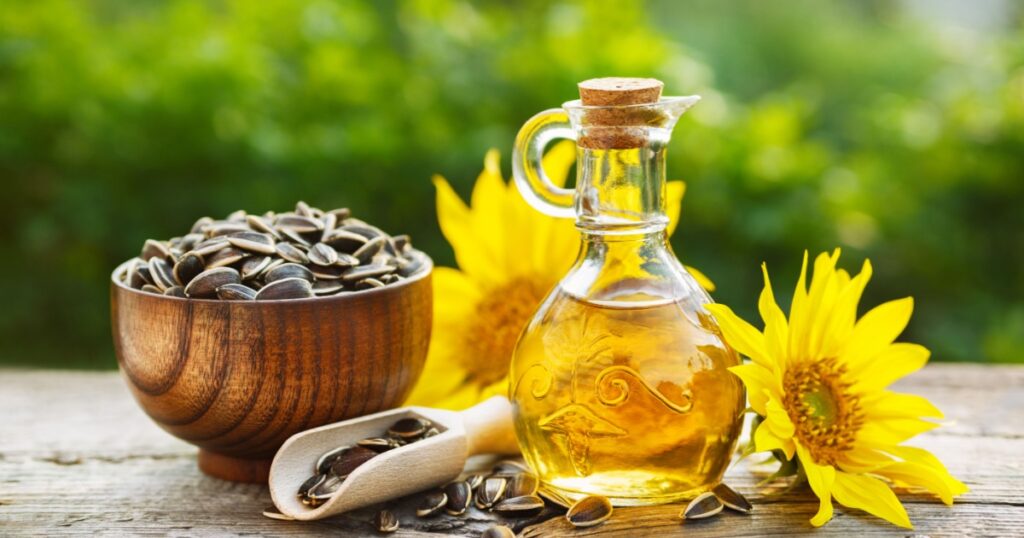 Organic sunflower oil in a small glass jar with sunflower seeds and fresh flowers. Outdoors