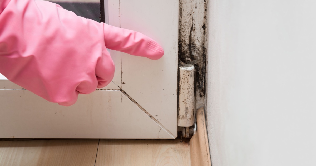 Don’t Underestimate Mold Exposure