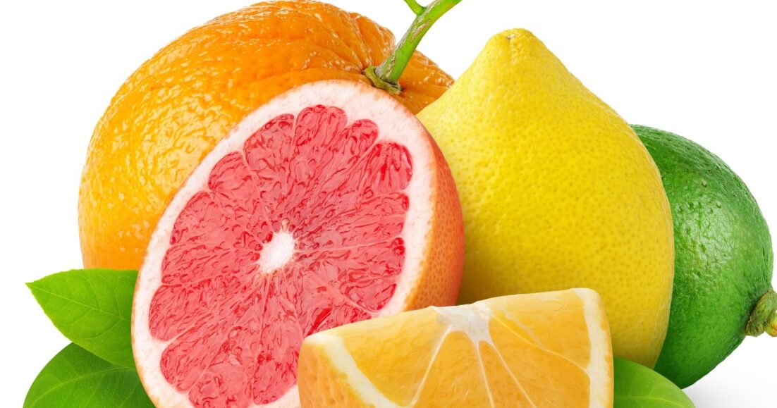 Isolated citrus fruits. Orange, grapefruit, lemon and lime isolated on white background