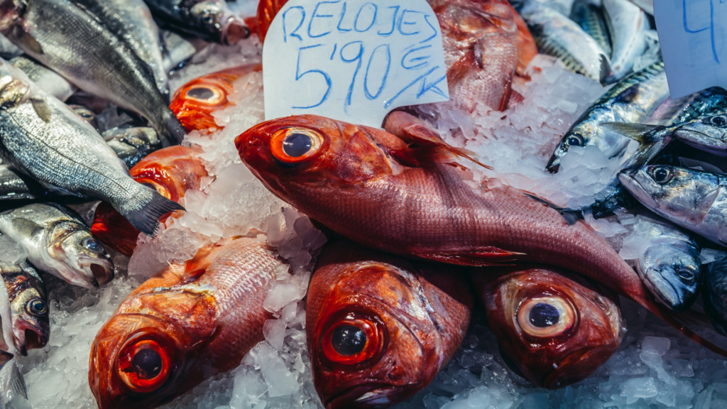 Orange Roughy fish