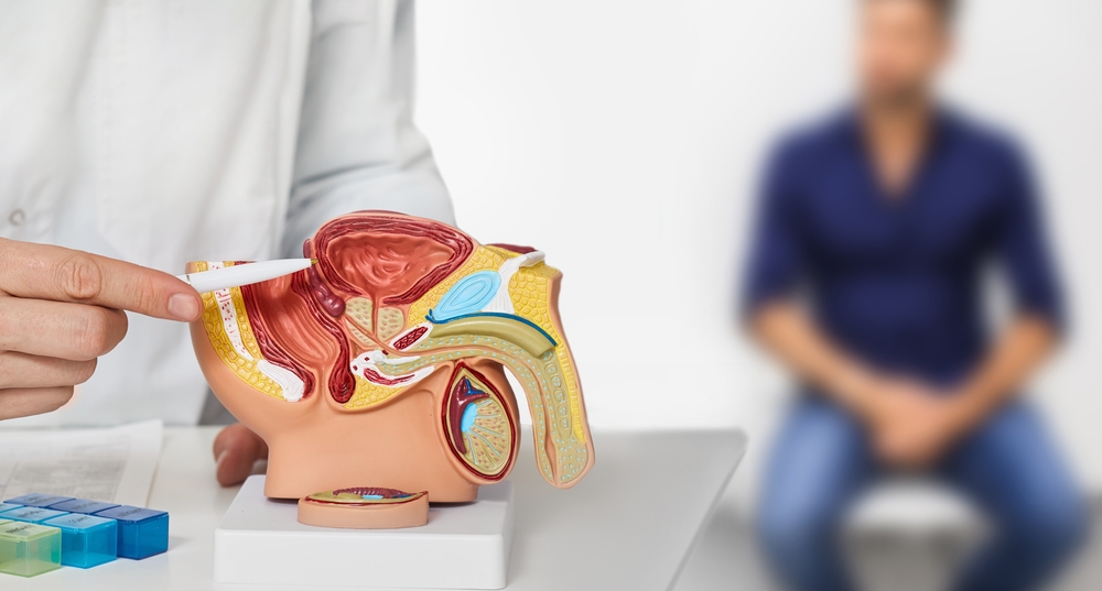 Urologist consultation for male patient. Urology and andrology, treatment of men's diseases and prostatitis

