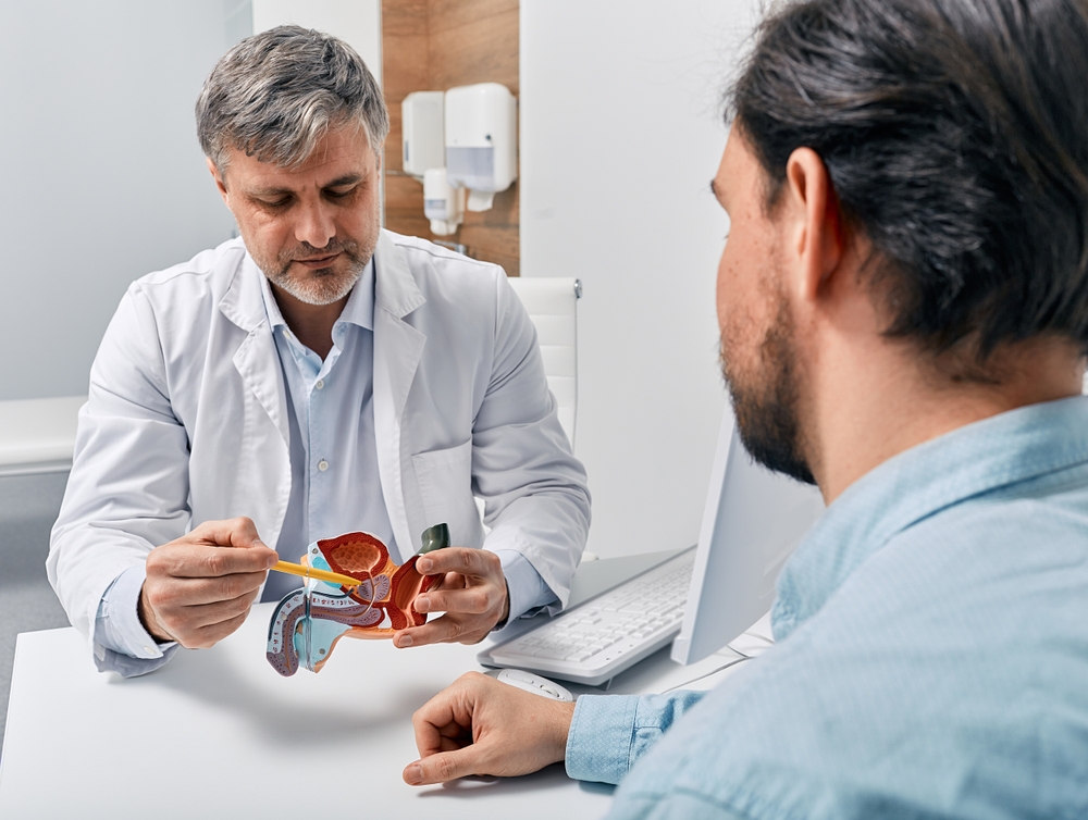 Doctor urologist consulting patient with prostatitis, explaining to him methods of treatment using anatomical model of male reproductive system. Prostatitis treatment
