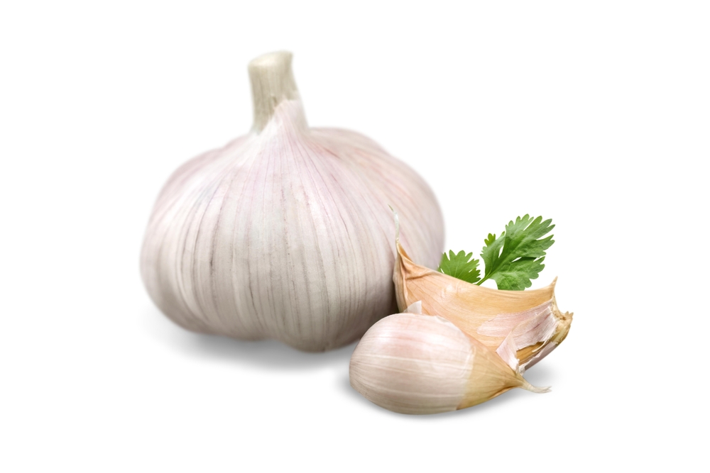 Fresh Peeled Garlic Bulb and Cloves with Cilantro Fresh Garlic Cloves with Loose Skin on White Background A peeled garlic bulb, ready to be used in cooking
