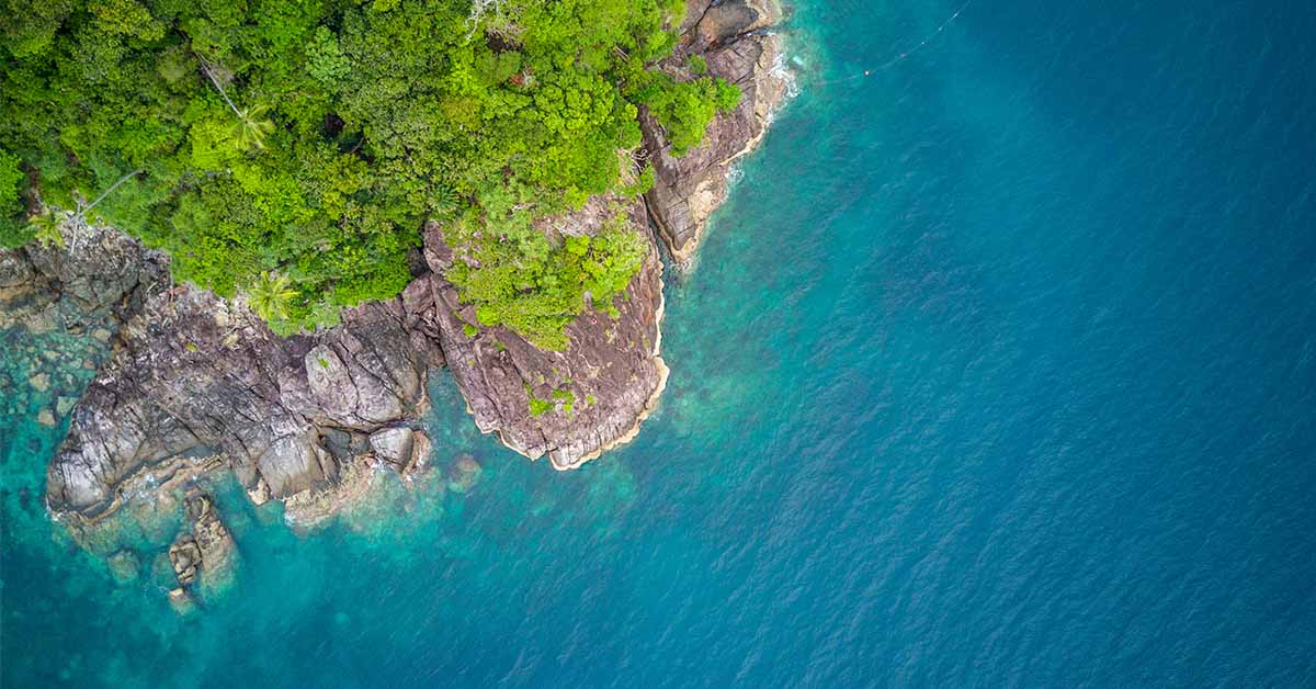 Four Friends Purchased a Deserted Florida Island for $65k and Turned into a $14M Paradise