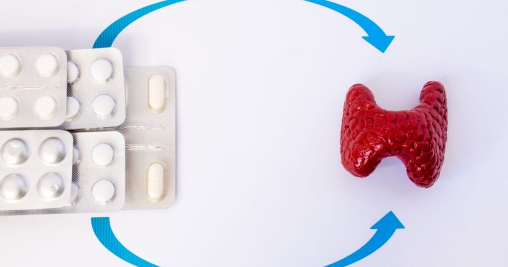 Hormone replacement therapy of thyroid or hypothyroidism concept photo. Model of thyroid gland is close to drugs in blisters on which arrows are drawn to organ, symbolizing hormone replacement