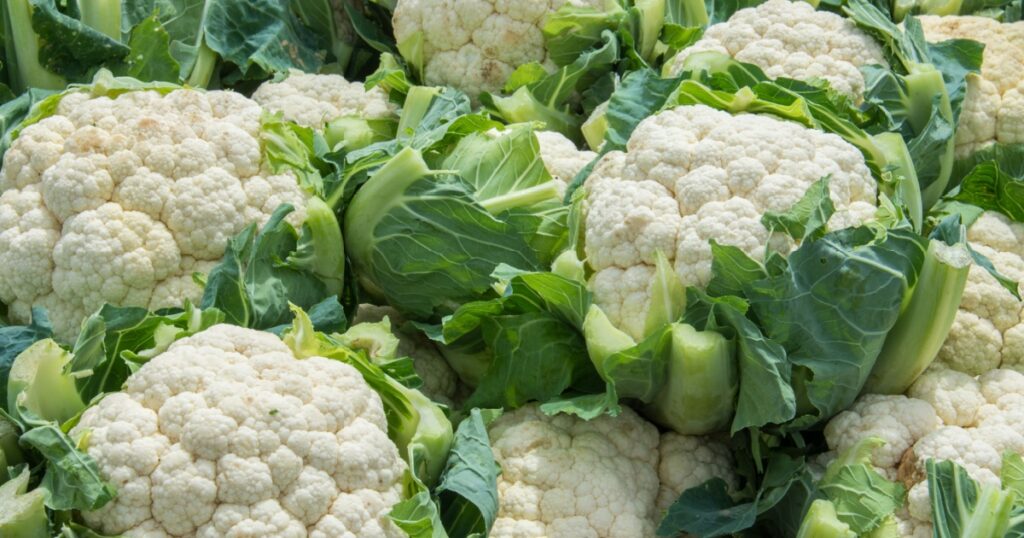 Group of cauliflowers with green leaves