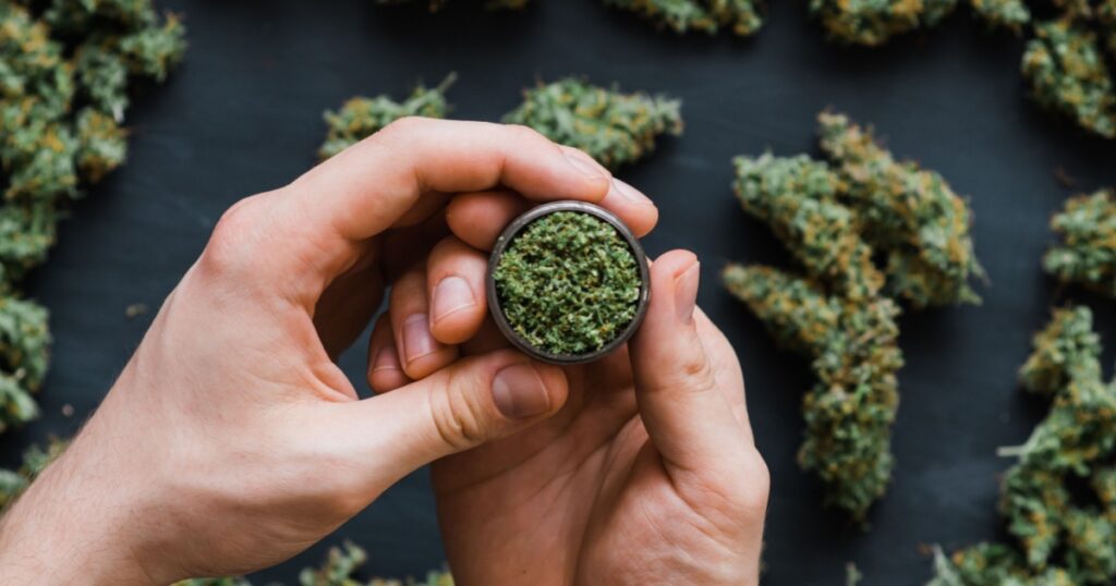 Grinder A lot of marijuana, fresh buds of cannabis many weed. Copy-space