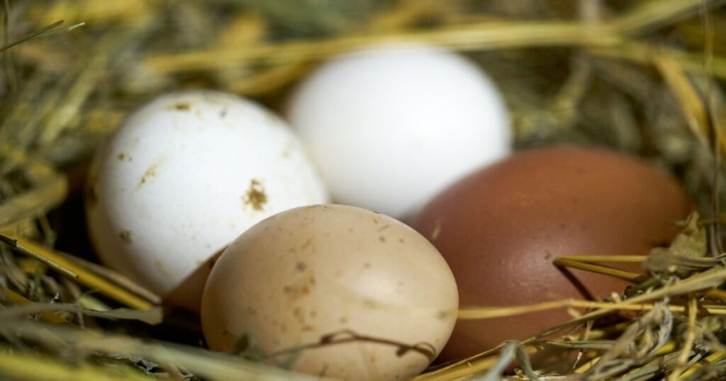 easter basket with easter eggs on wooden background