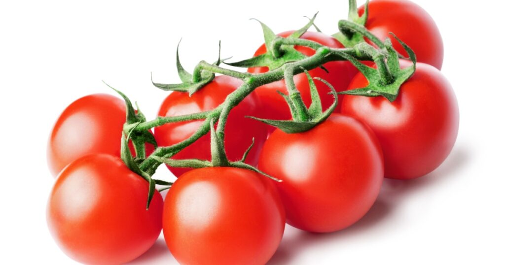 Bunch of fresh, red tomatoes with green stems isolated on white background. Clipping path.