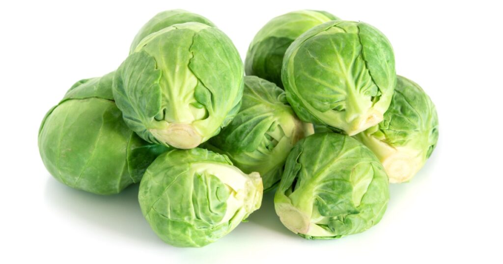 Fresh green brussel sprouts vegetable on white background