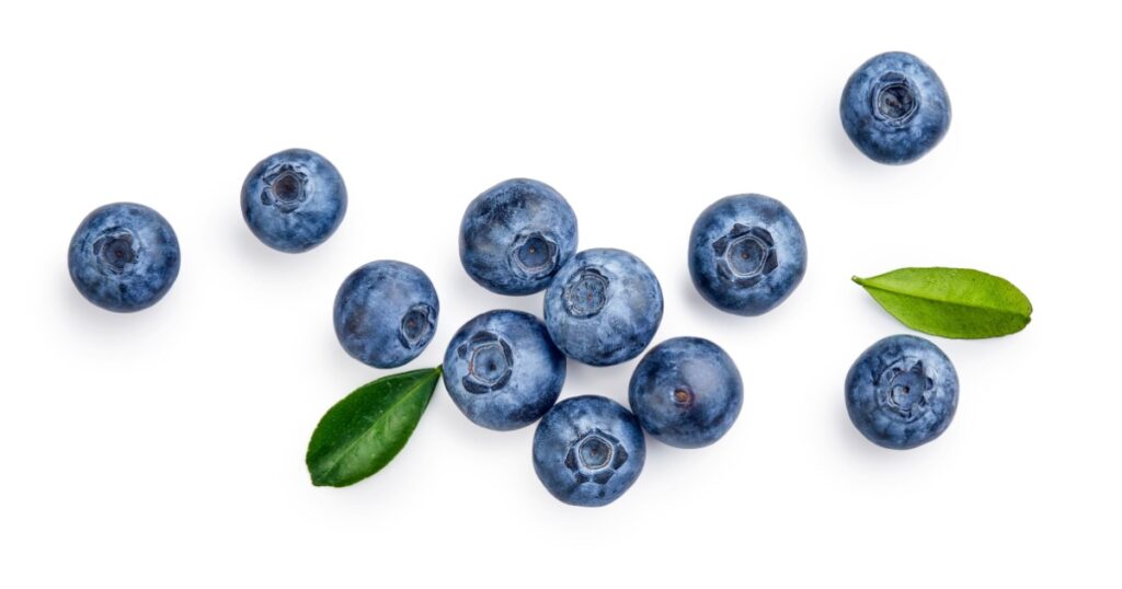 Fresh blueberries with bluberry leaves isolated on white background. Top vew.