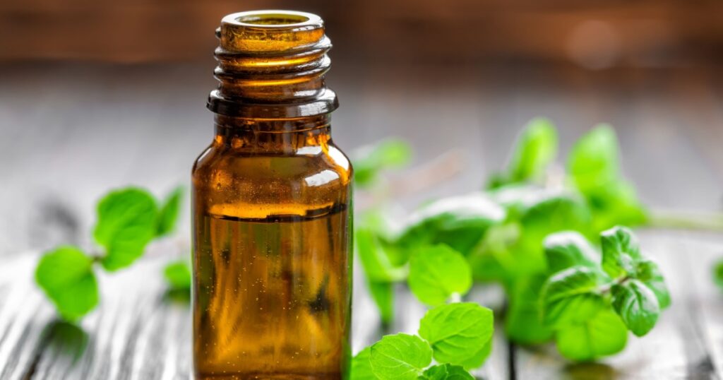 Mint oil