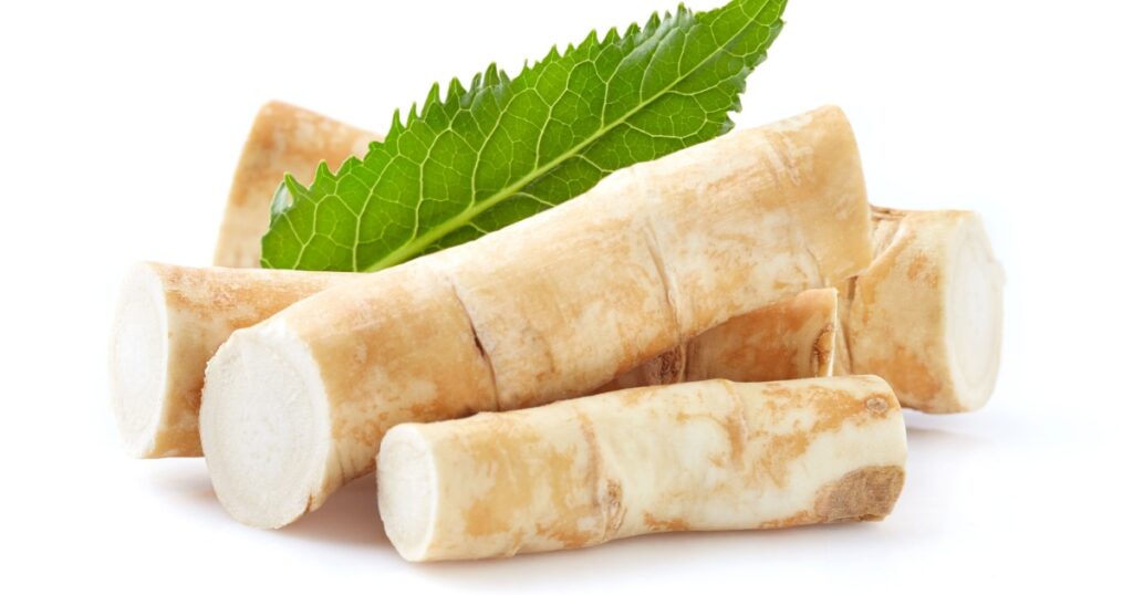 Horseradish root with leaf on white background