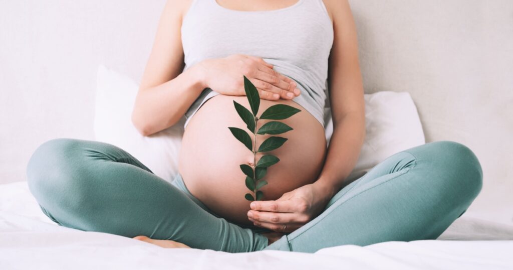 Pregnant woman holds green sprout plant near her belly as symbol of new life, wellbeing, fertility, unborn baby health. Concept pregnancy, maternity, eco sustainable lifestyle, gynecology.