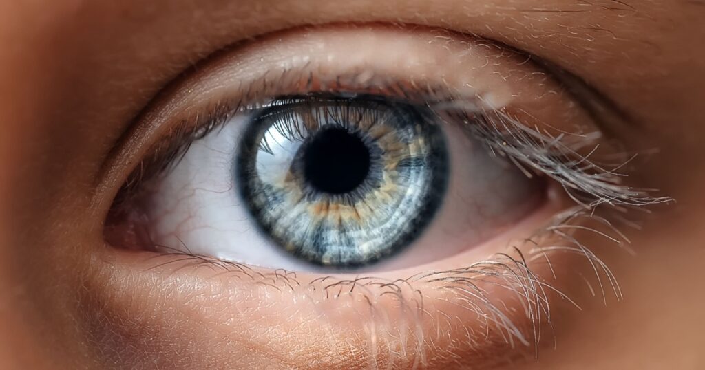 Blue Macro eye close up