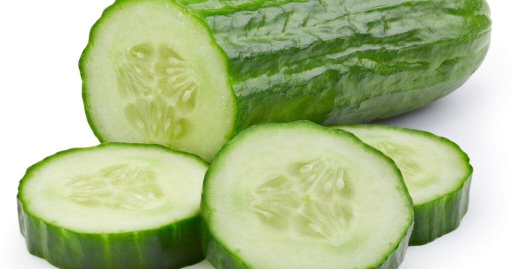 Cucumber slice isolated. Cucumber on white. Full depth of field. With clipping path
