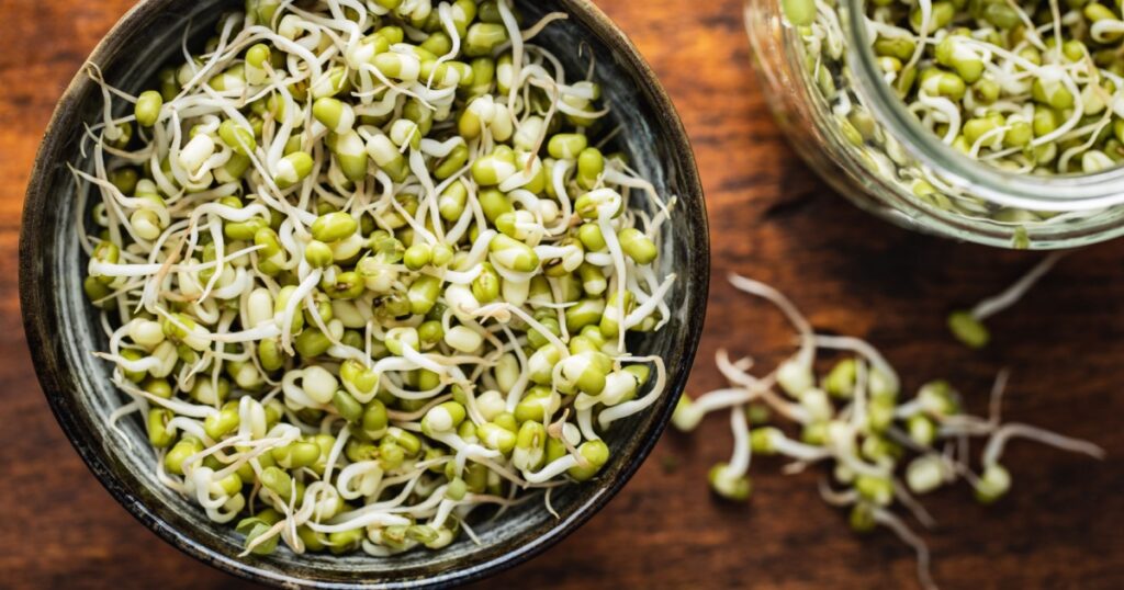 Sprouted green mung beans. Mung sprouts in bowl on wooden table. Top view.