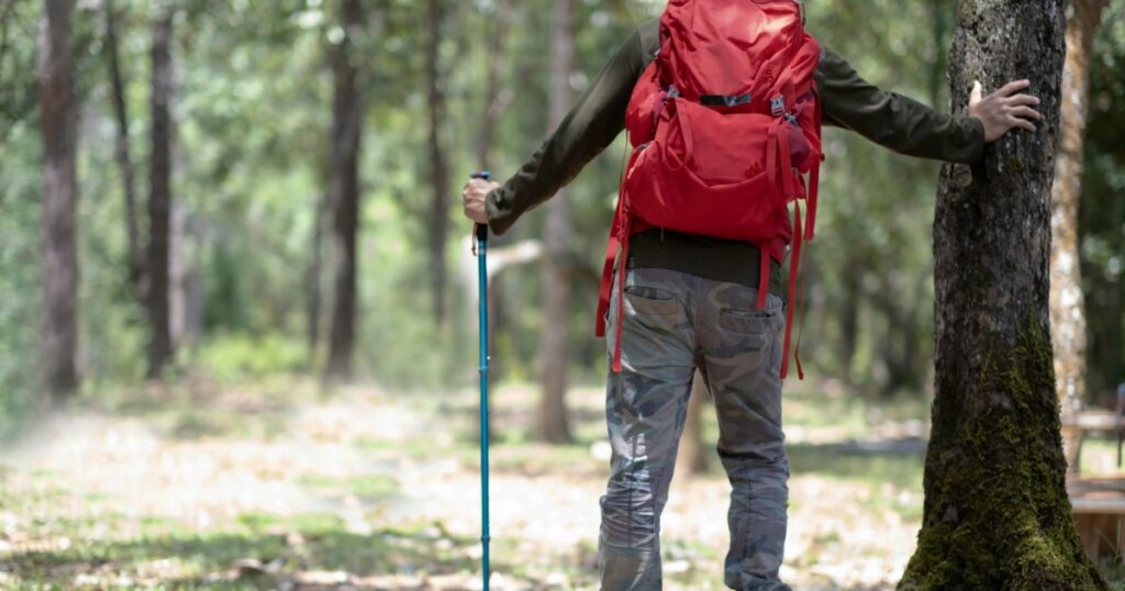 A man in dark green long sleeve t-shirt and long camouflag pants, red bag pack on his back and holding hiking pole take a rest at big tree for his hiking jurney.