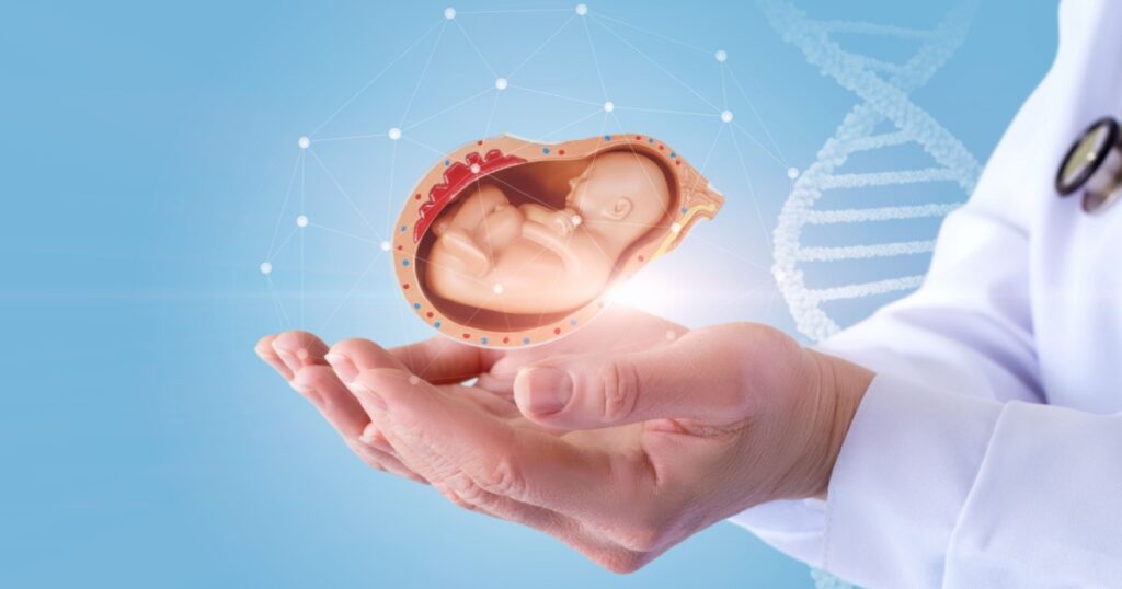 Doctor hands shows the embryo of a child on a blue background.