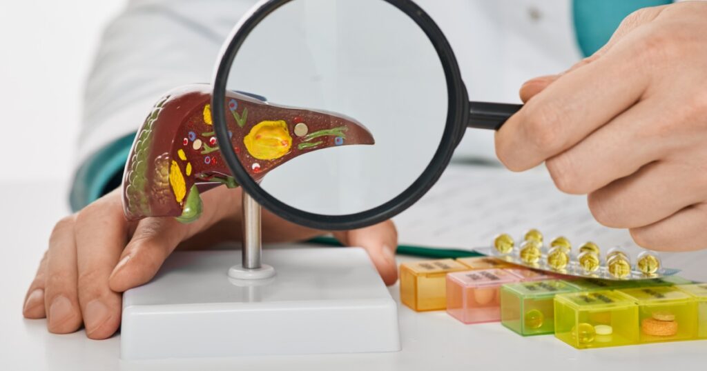 Human liver disease, diagnosis and liver treatment. Doctor showing liver anatomical model for treatment hepatitis, cirrhosis and cancer