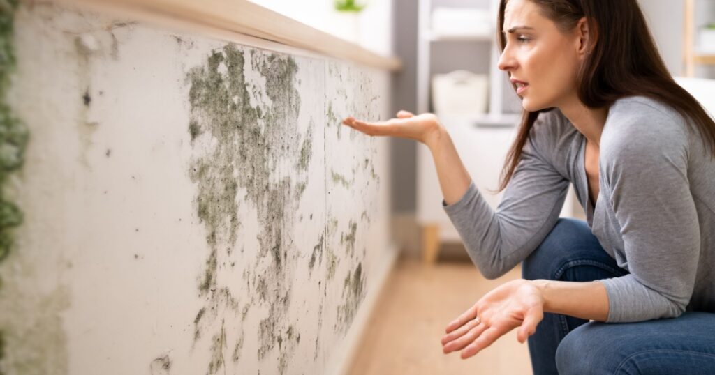 Side View Of A Shocked Young Woman Looking At Mold On Wall