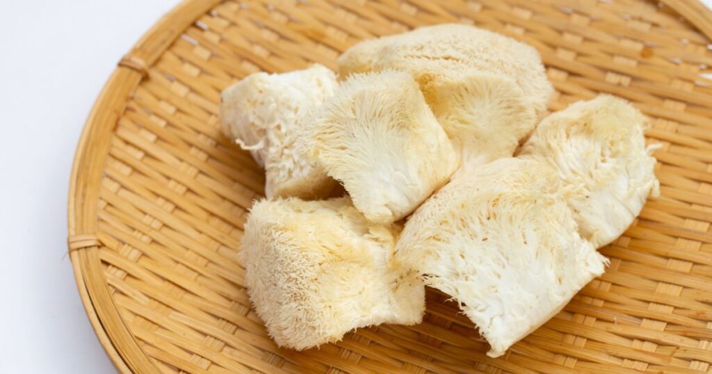 Fresh rare lion's mane mushroom